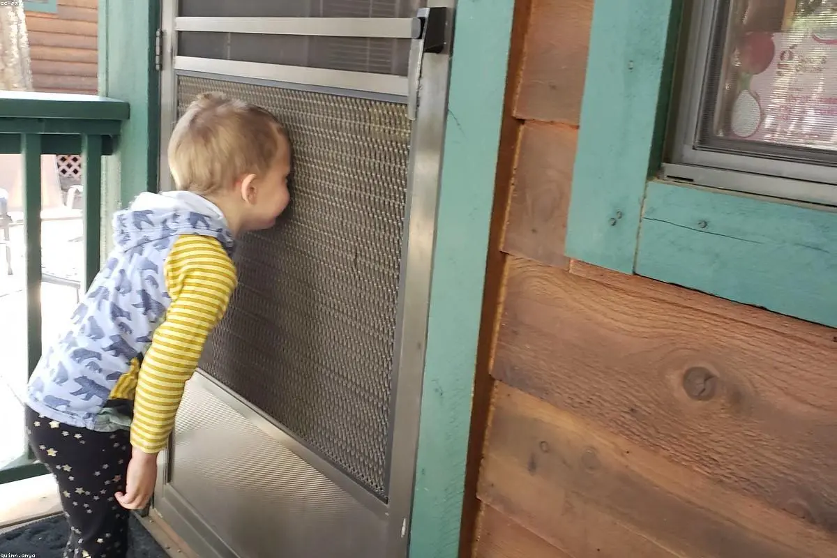 Beyond the Book: How Preschools Are Adapting to Screen-Savvy Toddlers