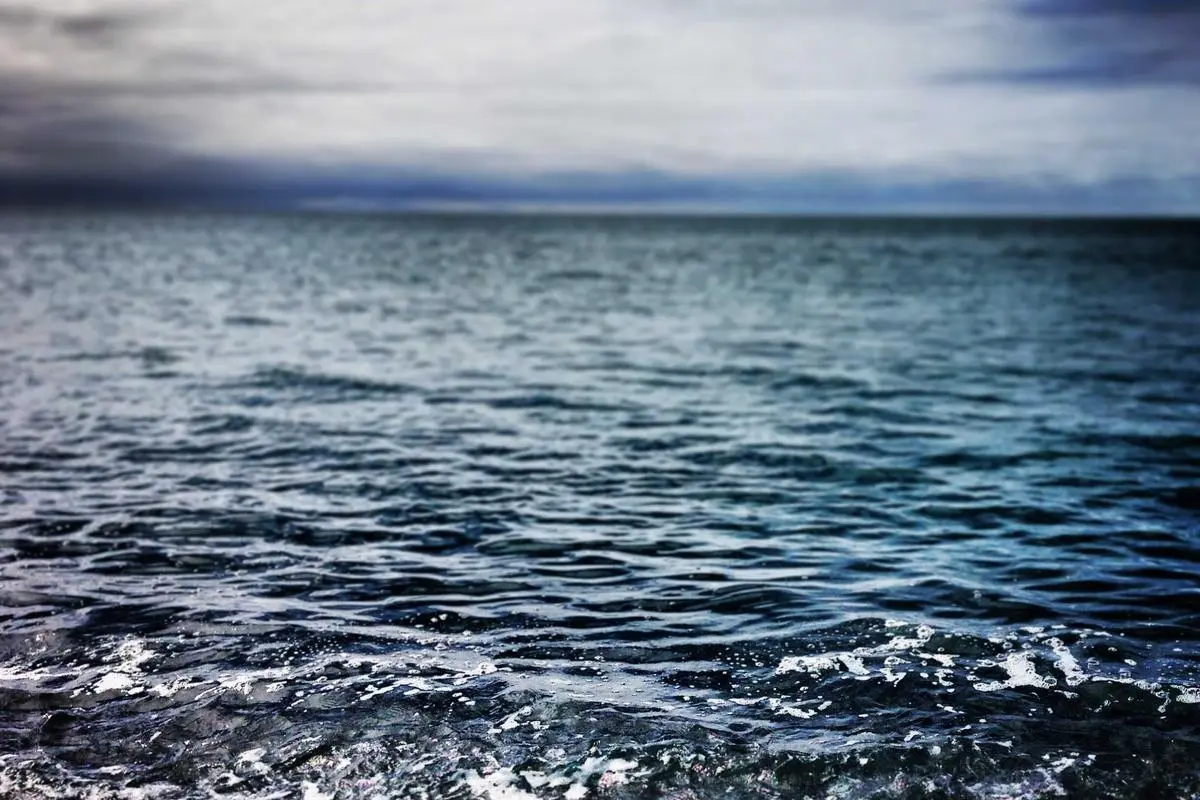 Embrace the Struggle: How I Find Joy as an Educator