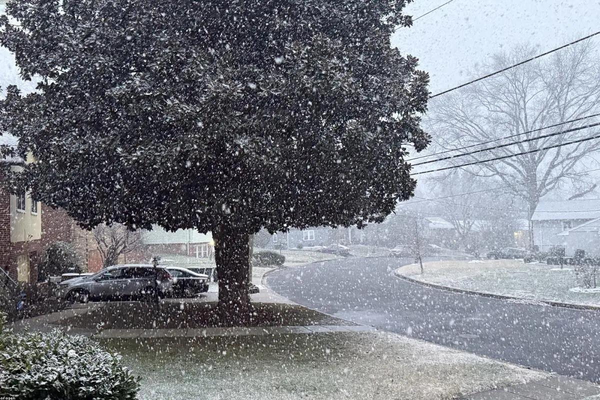 After the Storm: US East Coast Faces Massive Travel Gridlock Following Record Snowfall