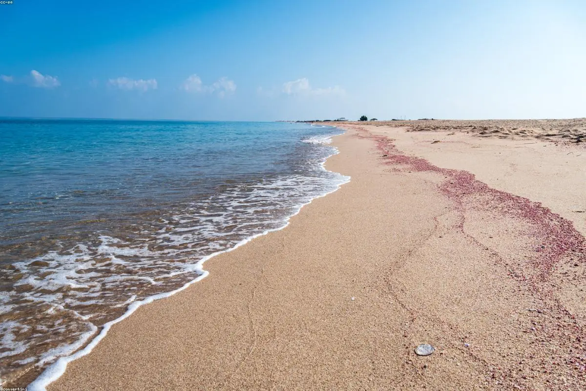 Diplomatic Shockwaves: Analyzing the Reported Threats Against Oman Over Iran Policy