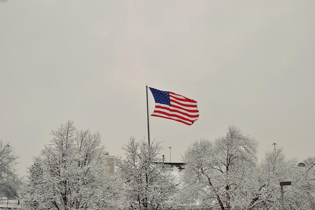 Super Bowl 2026: Can the Seahawks Deny the Patriots’ Historic Quest for Seven?