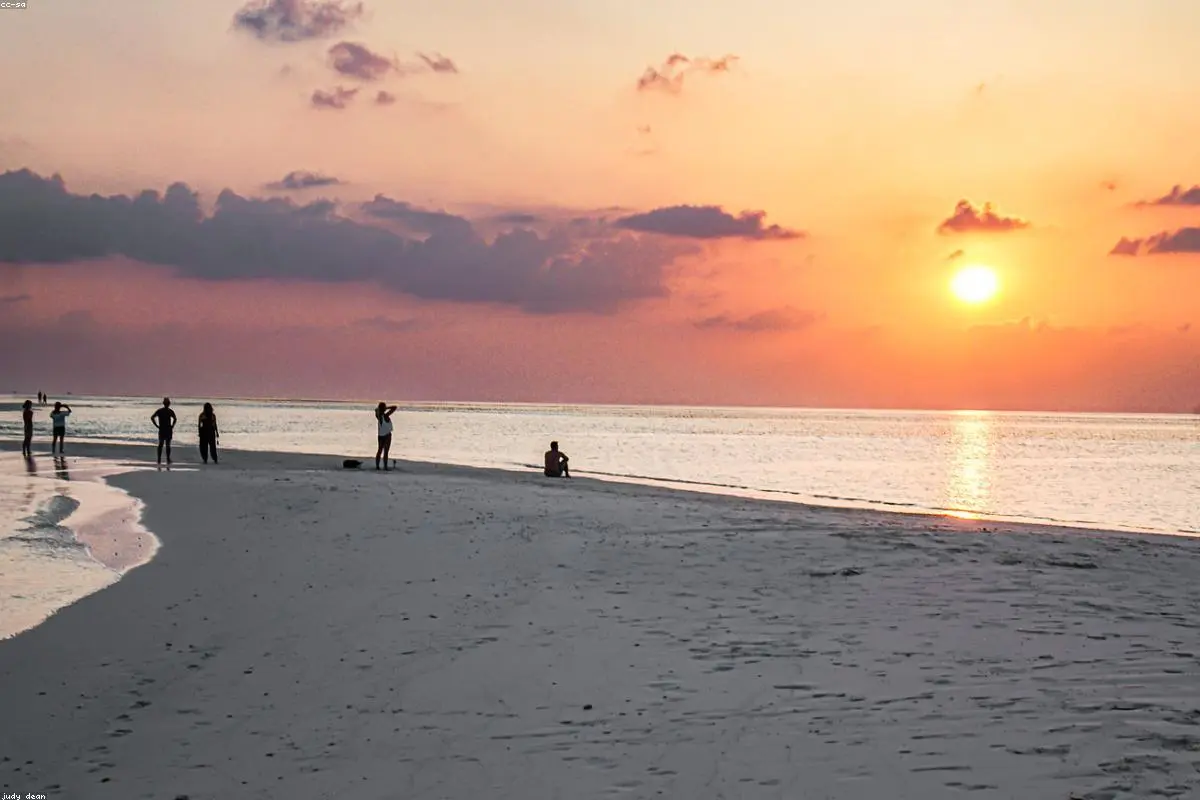 Tragedy in Paradise: Bodies of Missing Italian Divers Recovered in the Maldives
