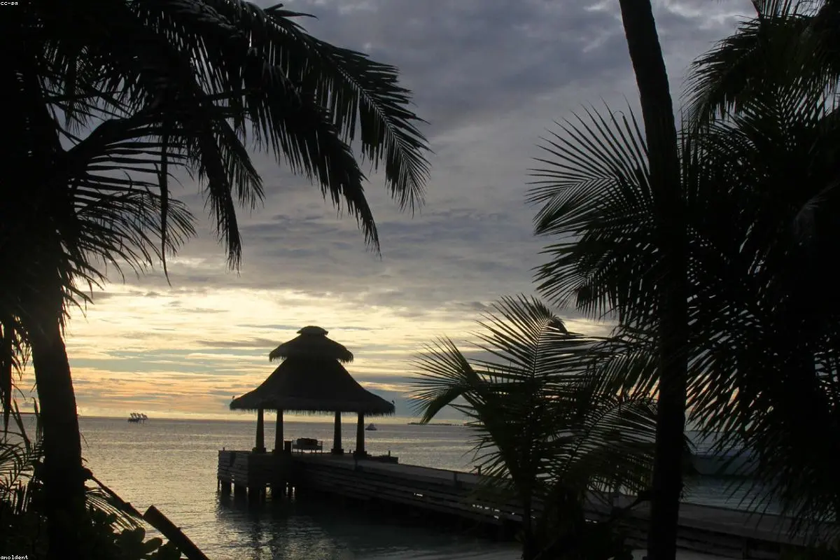 Tragedy Beneath the Waves: Five Italian Divers Perish in Maldives Cave Expedition