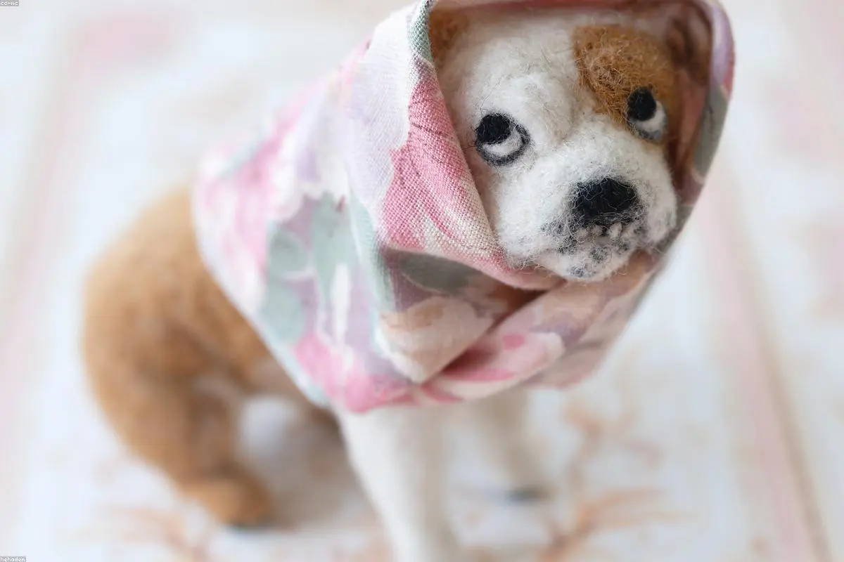 The End of the 'Pet Premium'? Why Rental Searches for Animal-Friendly Homes are Falling
