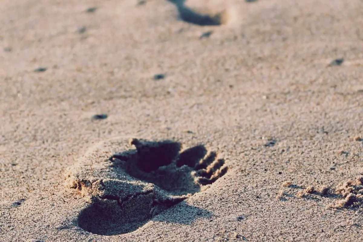 A Glimmer of Hope? Millennials and the Shifting Landscape of Homeownership
