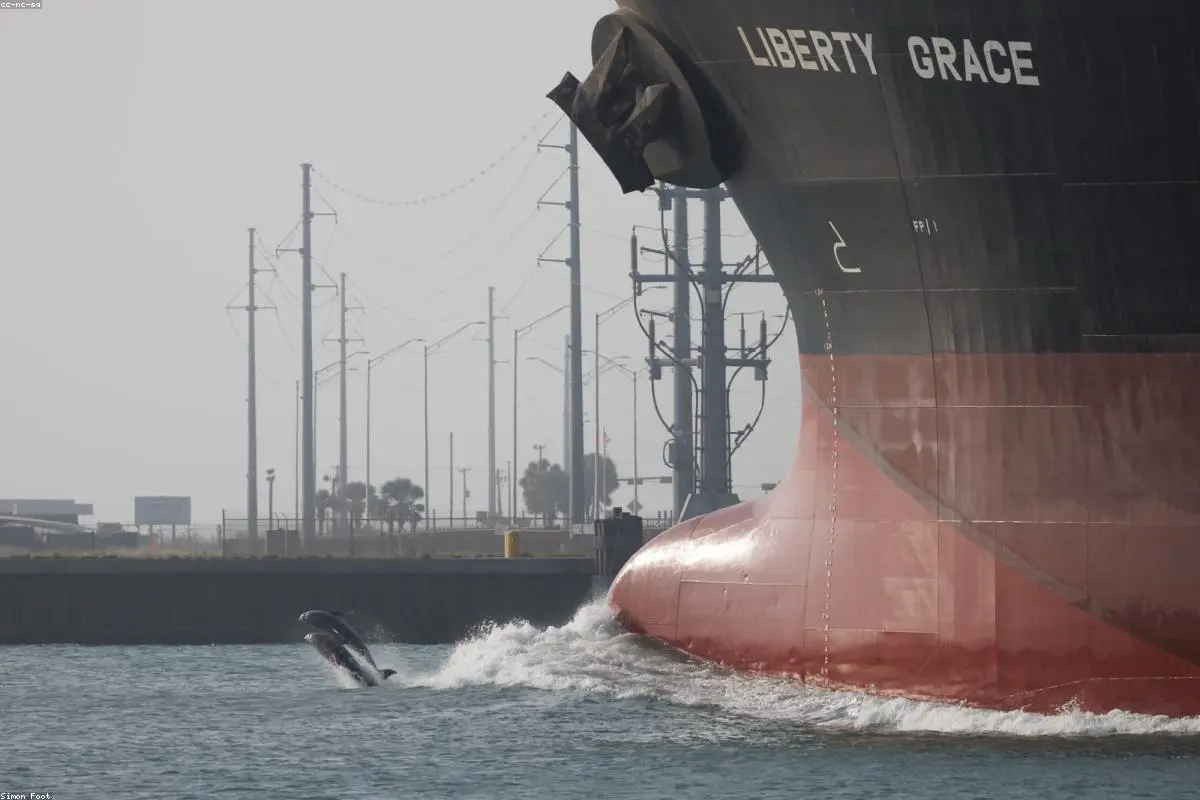 The $110 Barrel: Why a Major Gas Field Strike is Rattling Global Markets