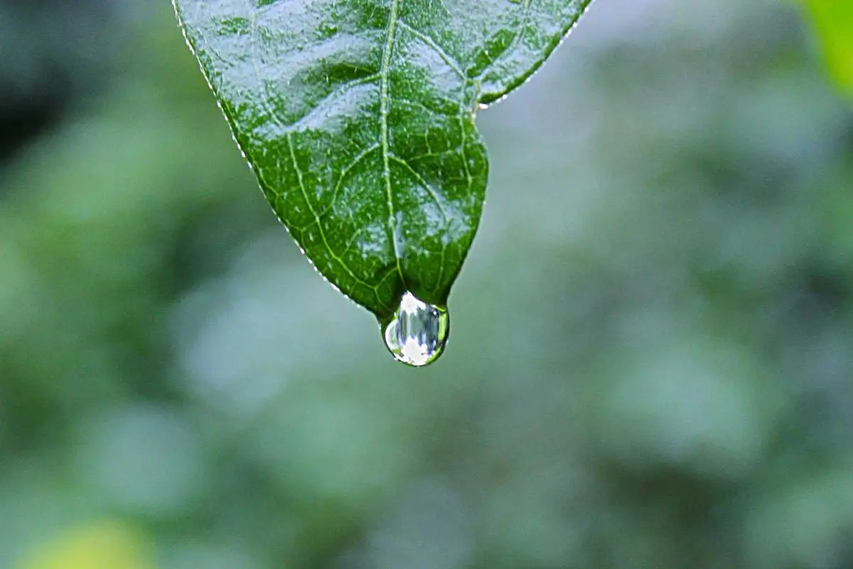 Beyond the Damp Handshake: Real-World Solutions for Excessive Sweating