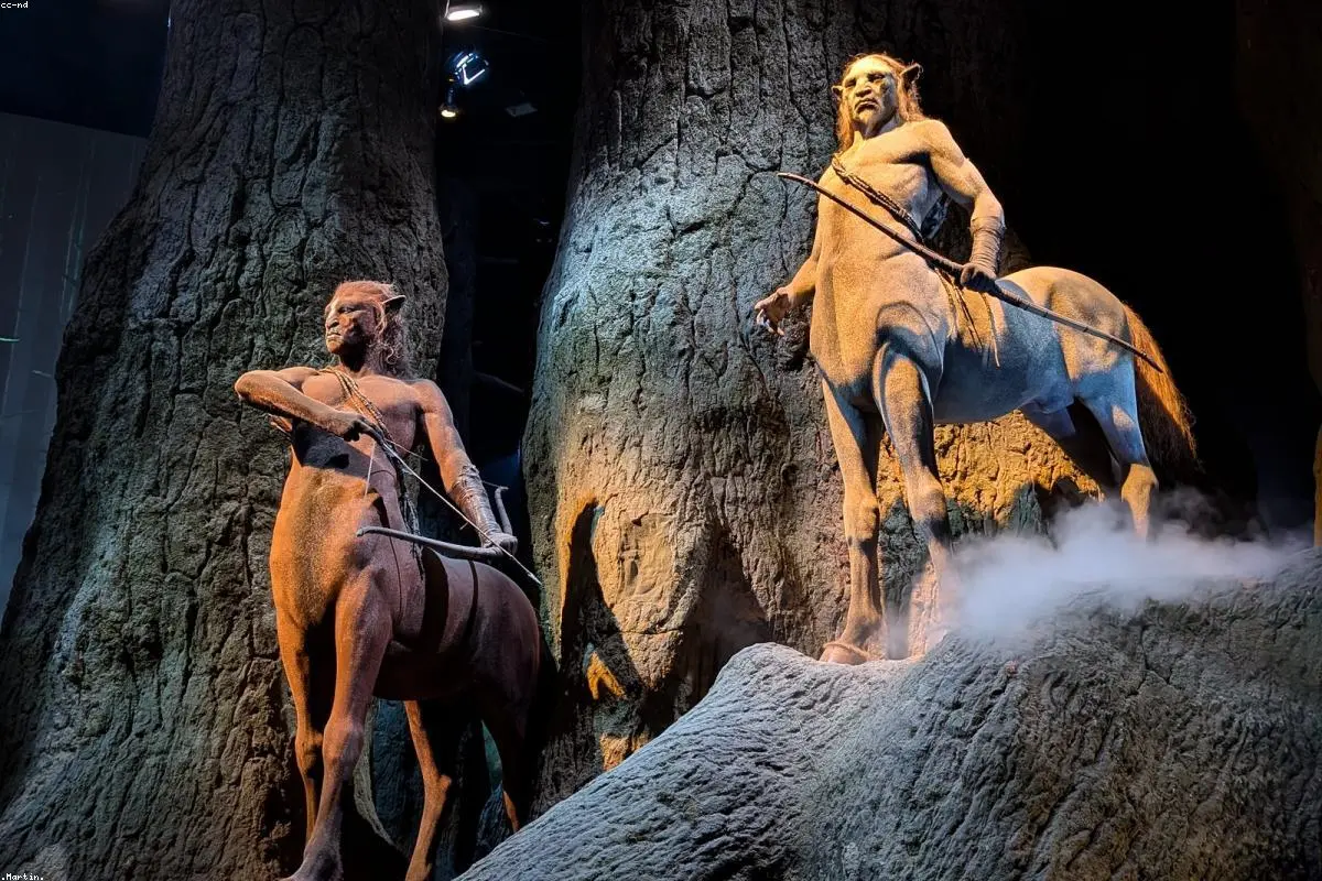 Magic Reborn: Inside the Rigorous Search for HBO’s New Harry Potter Trio
