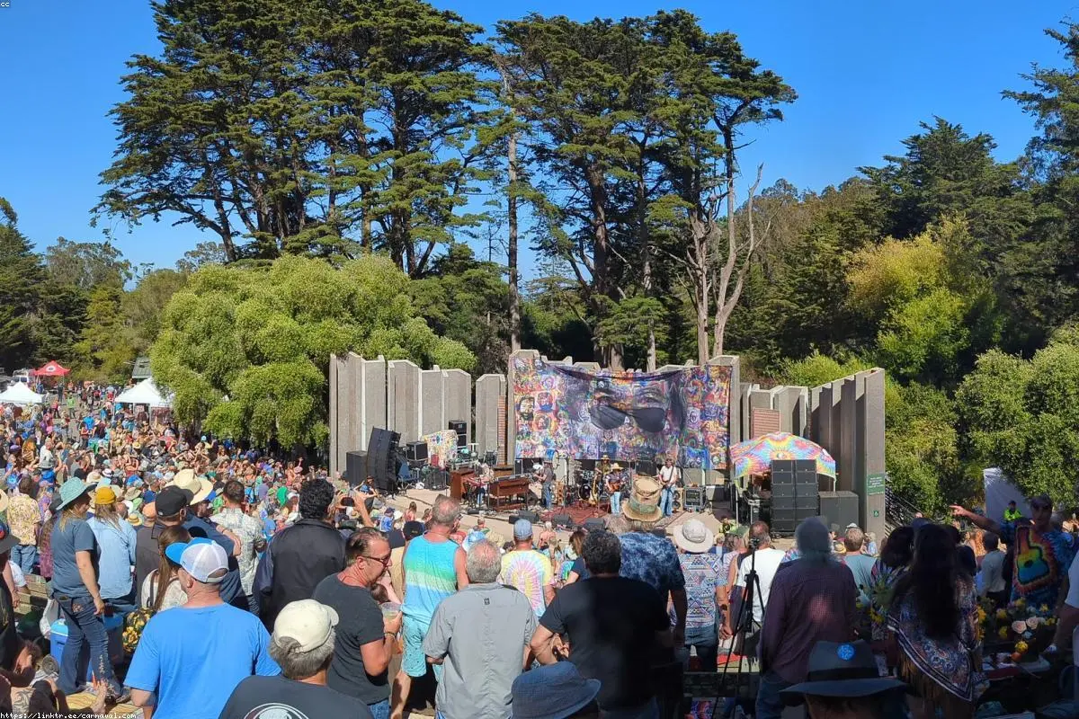 Chasing the Jam: 'Summer Tour' is a Kaleidoscopic, Self-Indulgent Trip Into Deadhead Culture