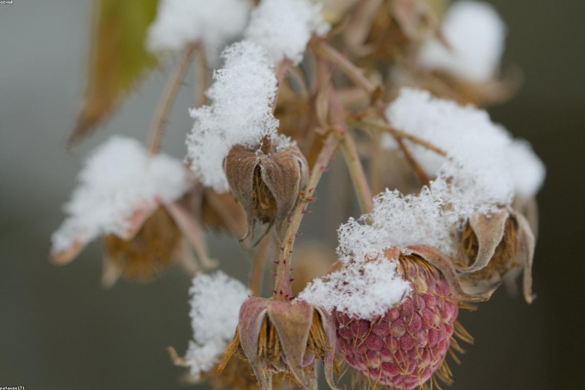Winter Olympics & Erectile Dysfunction: The Unexpected Injection Debate