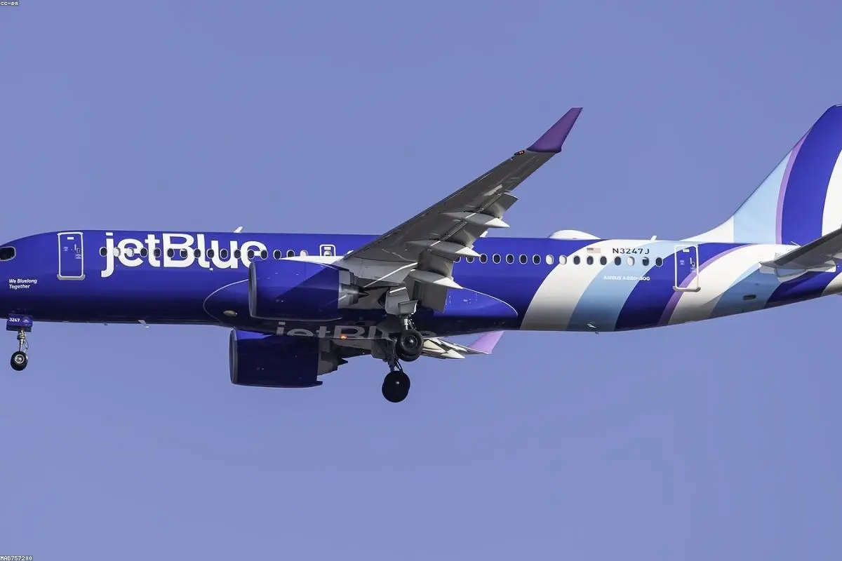 A Safety Stand-Off: How a Toddler’s Seatbelt Struggle Grounded a Canadian Flight