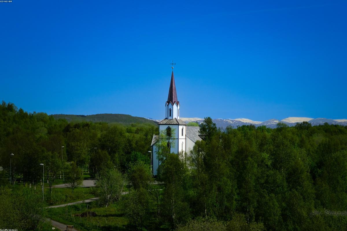 Norway Royal Family Under Scrutiny as Rape Trial Unfolds