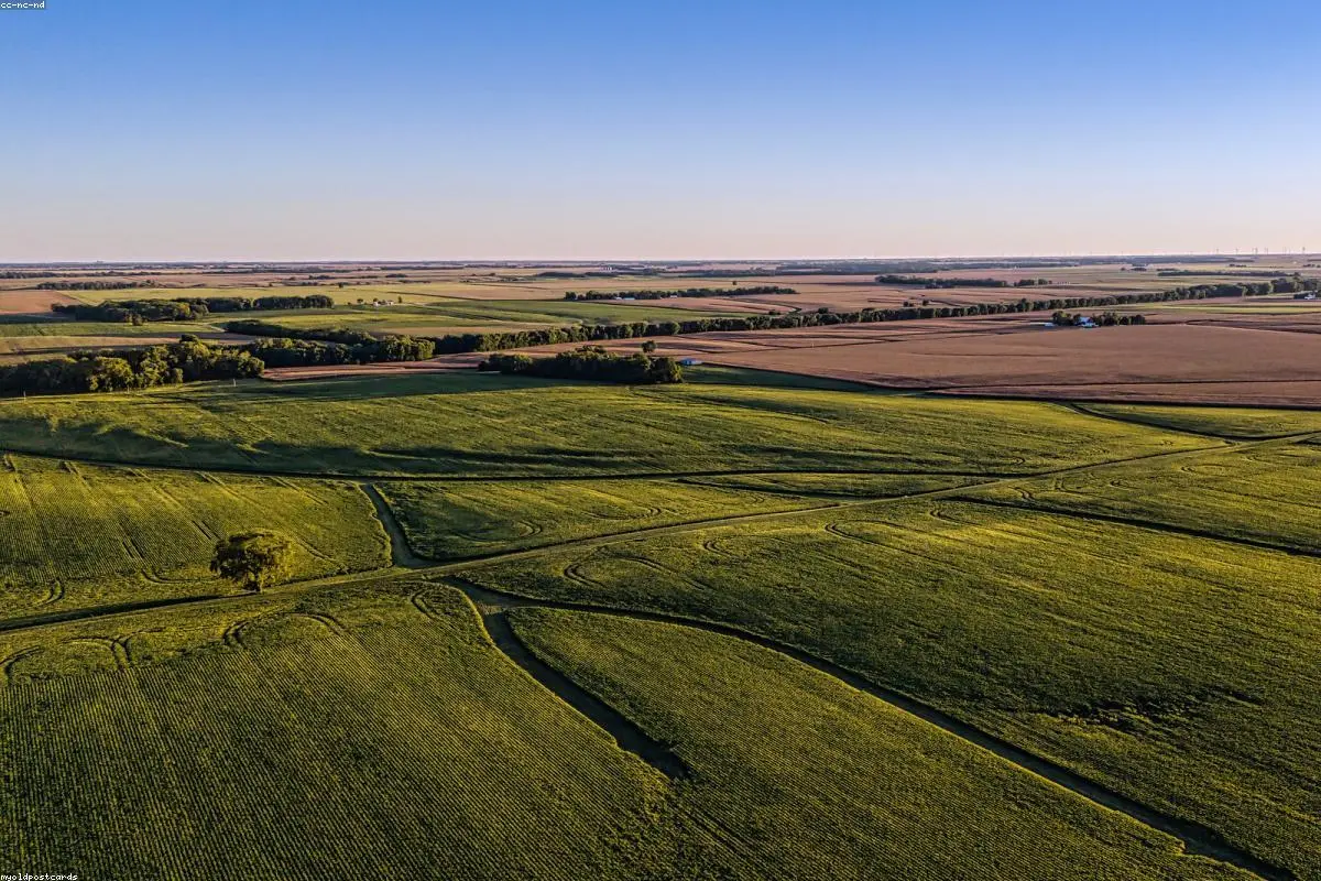 Beyond the Golden Fields: Why Campaigners are Demanding a Harvest-Time Ban on Glyphosate