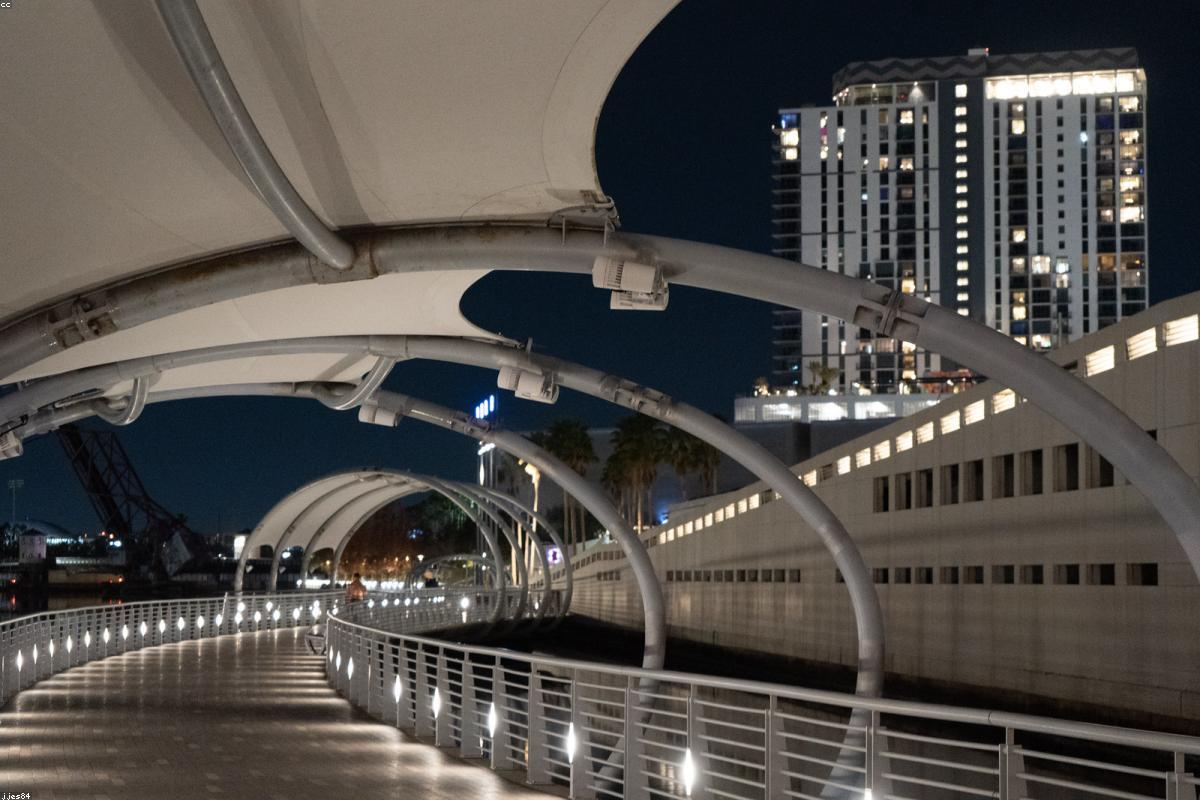 Tech Life: Navigating the Evolution of Our Digital Future