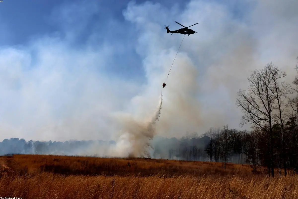 Tragedy in the Greek Skies: Two Dead After Firefighting Helicopters Collide