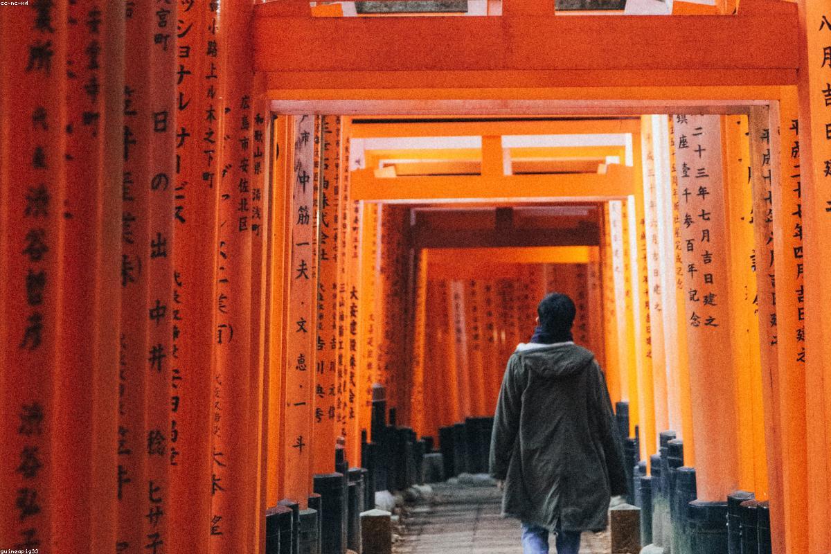 Trump Backs Takaichi in Japan's Snap Election: A Shift in International Relations?