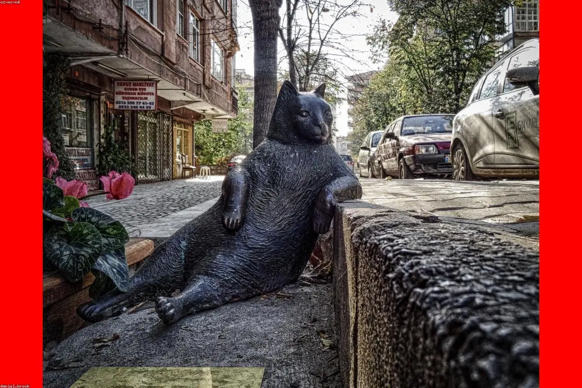 A Familiar Voice Facing a Personal Battle: BBC’s Maryam Moshiri Shares Blood Cancer Diagnosis