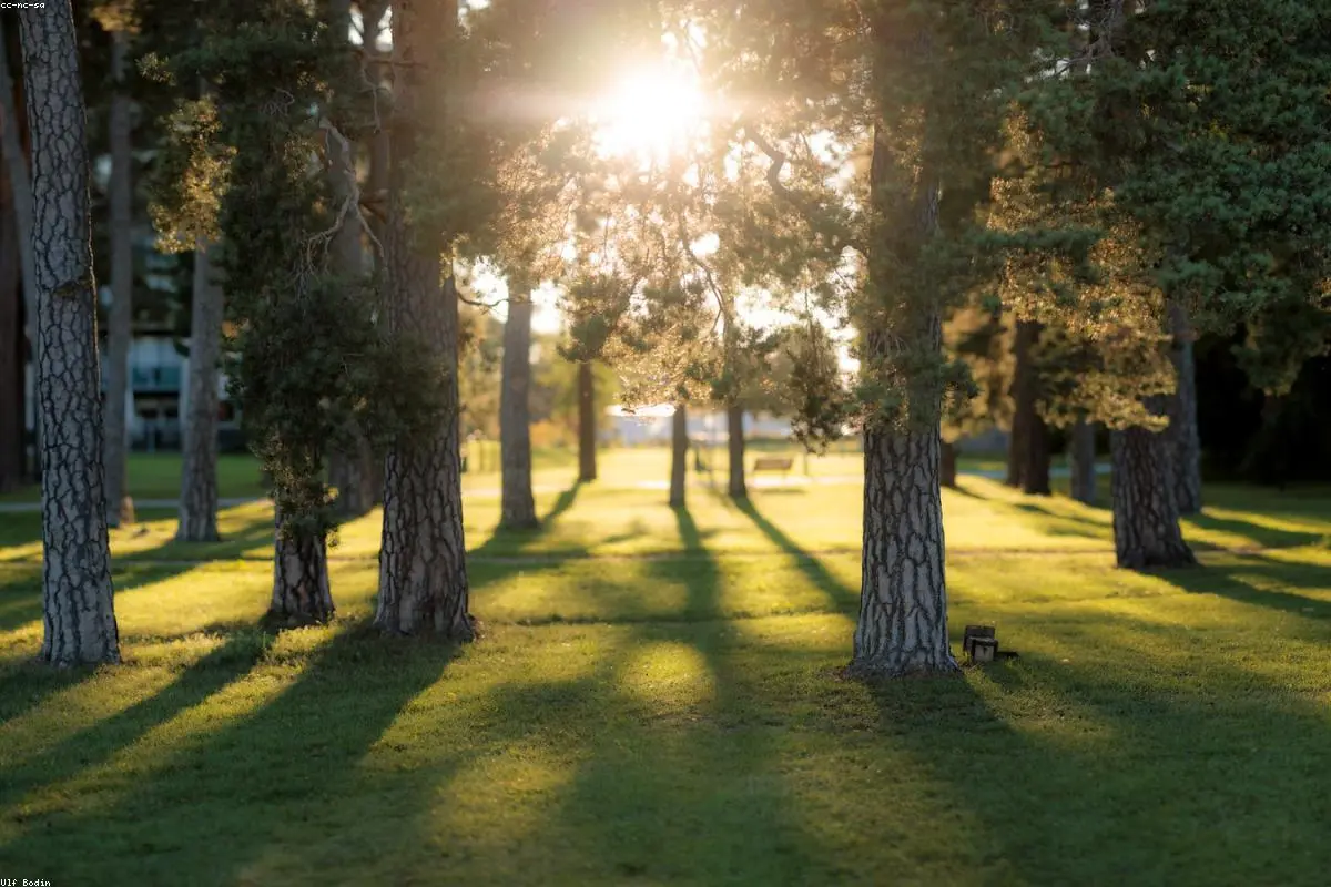 Sun Savvy: Cracking the Code of UV Levels for Better Health